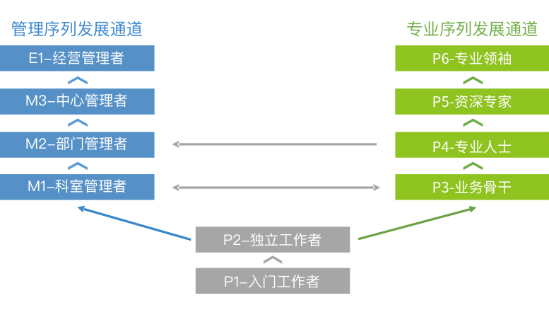 學(xué)習與成長(cháng)